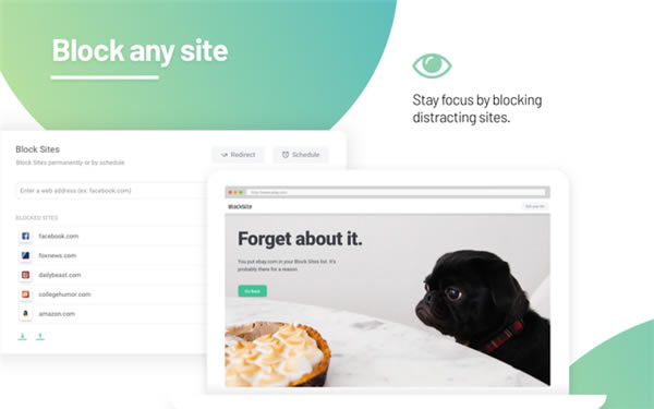 BlockSite-BlockSiteز5.3.5.0