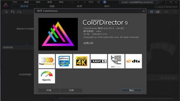 ColorDirector