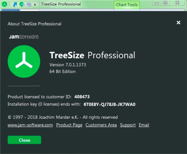 TreeSize Professional̿ռ6.2.3
