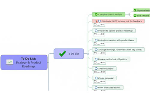 MindManager21