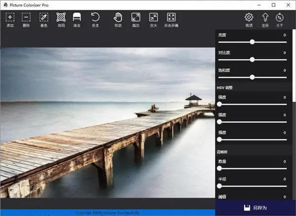 PictureColorizerܛd2.3.3