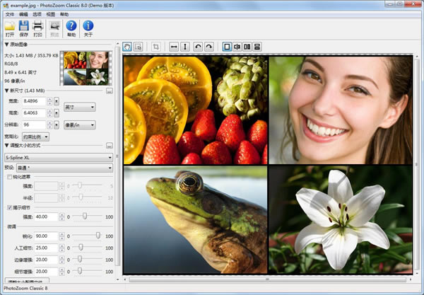 PhotoZoom Classic 88.0