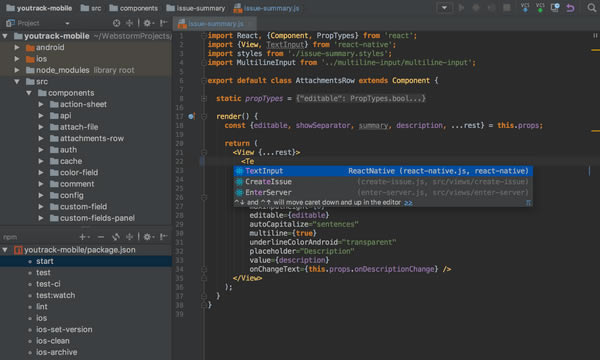 JetBrains WebStormX˹ٷ2024°GɫM(fi)db