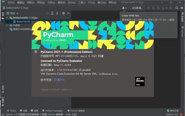 PyCharm Professional 2021X˹ٷ2024°GɫM(fi)db