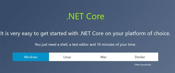 Microsoft .NET CoreX˹ٷ2024°GɫM(fi)db