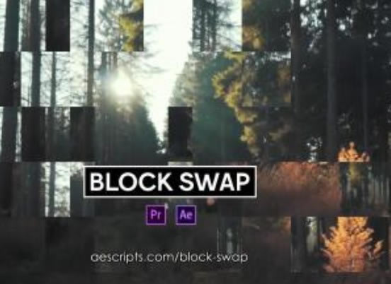 Block SwapX˹ٷ2024°GɫMdb