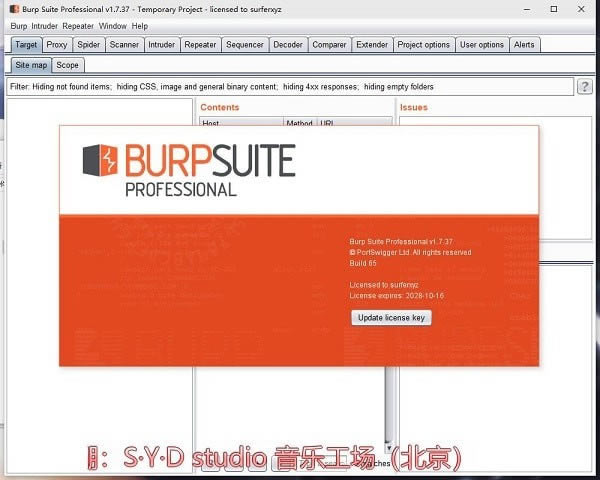 Burpsuite ProԶ˹ٷ2024°ɫذװ