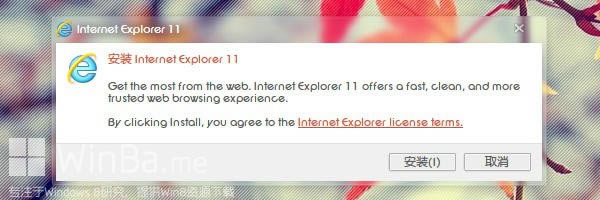 IE11 win7