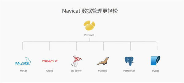 Navicat for MySQL 64λwĹٷܛB؈D