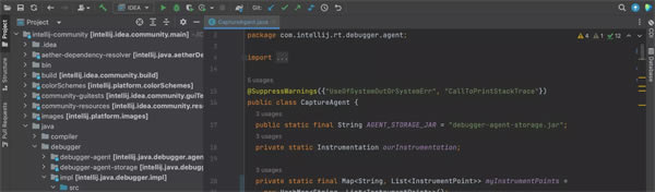 IntelliJ IDEA^(q) 1DƬ