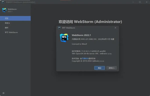 Webstorm2022.1؄e1