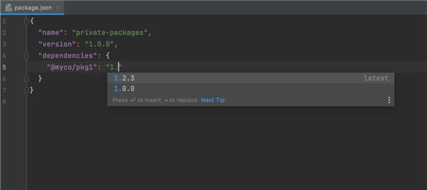 WebStorm؄e2021¹