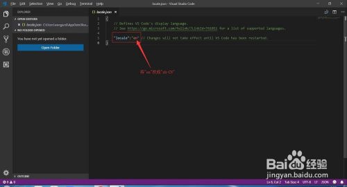 visual studio code2021dvisual studio code2021(b̳) ٷXʽ