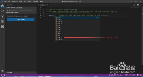 visual studio code2021d