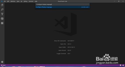 visual studio code2021d