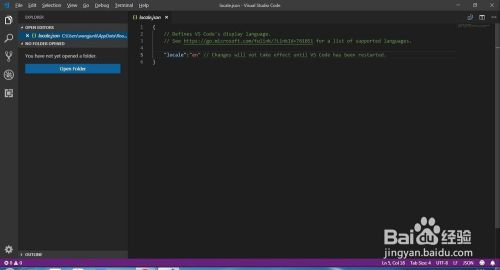 visual studio code2021d