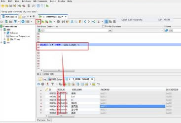 DbVisualizer؄eôSQL(sh)(j)