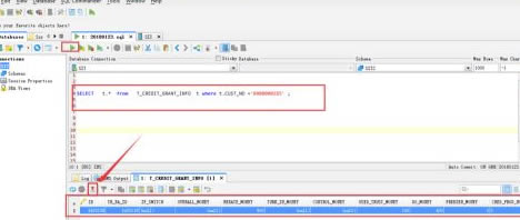 DbVisualizer؄eôSQL(sh)(j)