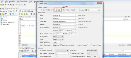 DbVisualizer؄eôSQL(sh)(j)