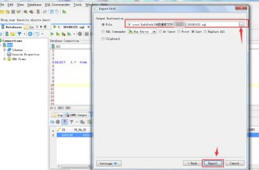 DbVisualizer؄eôSQL(sh)(j)