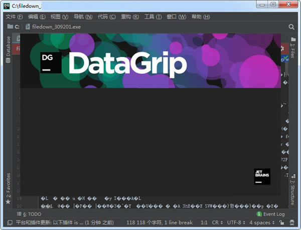 JetBrains DataGrip2020رͼ