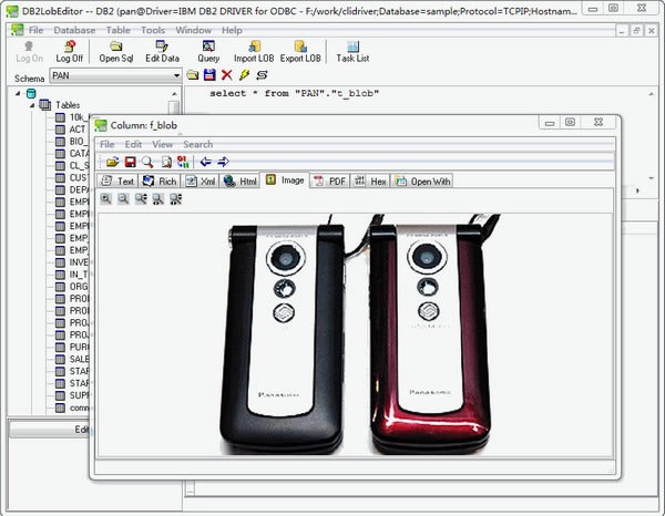 DB2LobEditorٷʽdDB2LobEditor(db2(sh)(j)쾎݋) v2.8 ٷʽ