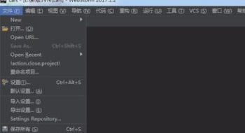 WebStorm2020رô