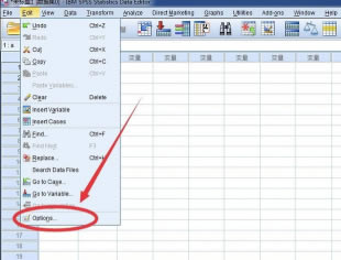 SPSS22؄eôO(sh)Ľ