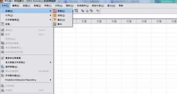 SPSS22؄eô(do)딵(sh)(j)