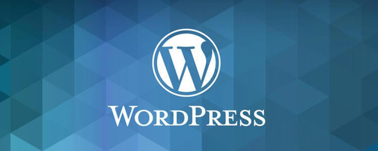 W(wng)ordPressİdWordPressd v5.4.2.0 ٷʽ