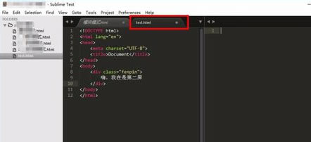 Sublime Text3İô