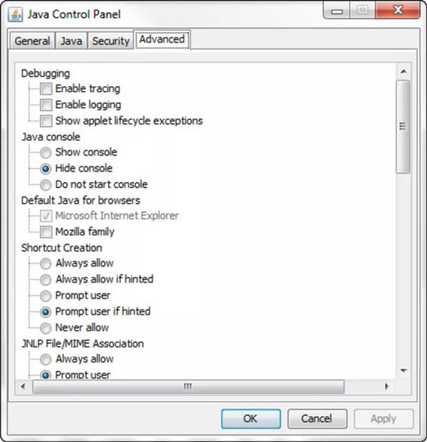 java runtime environmentءJava Runtime Environmentٷ v8.0.202 İ-վ