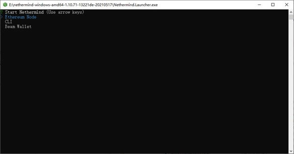 NethermindءNethermindٷ(̫ͻ) v1.10.73 ٷʽ