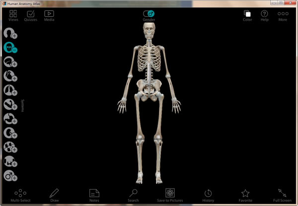 Human Anatomy Atlas WindowsرءHuman Anatomy Atlas Windowsİ V2021 PC
