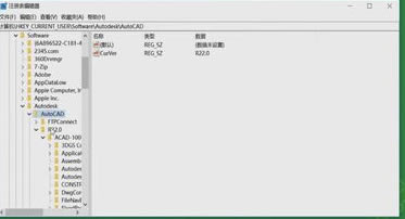 CAD2018ƽӦô