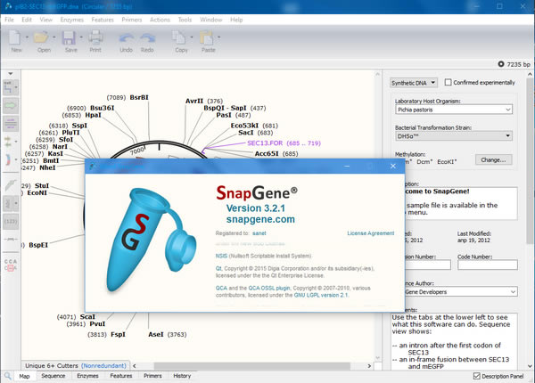 GSL Biotech SnapGeneѰءGSL Biotech SnapGene(ѧ) v5.1.5.0 Ѱ