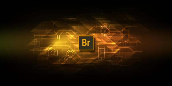 Adobe Bridge cc 2019[Դ]Adobe Bridge cc 2019 64bit ٷʽ