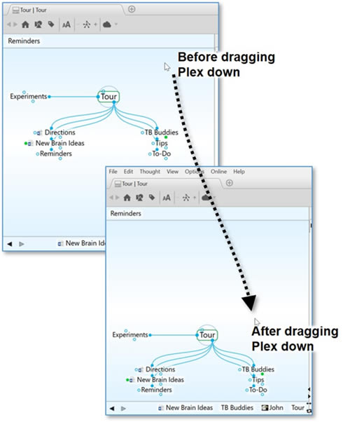 thebrainƽ桿Thebrain11(3D˼άͼ) v11.0.68 ƽ-վ