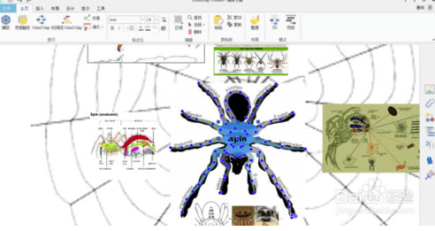 iMindMap11رôʾ