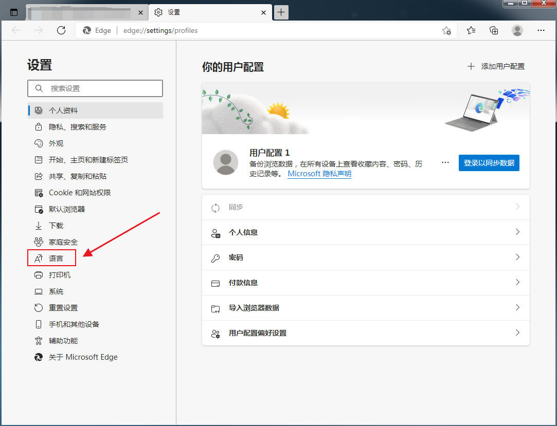 Microsoft Edge GPT-4л汾2
