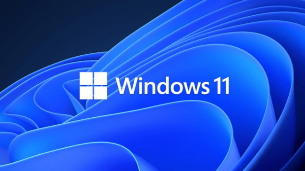 Windows11 2ͼƬ