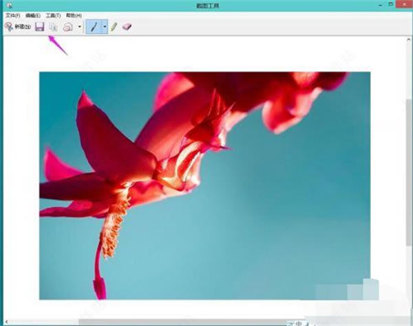 win11ʽ泣ͼ6