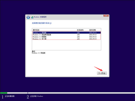Win11ô°װWin11ϵͳ5
