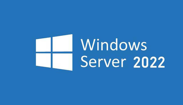 Windows Server2022ر