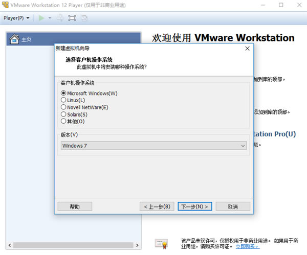 VMware Player12ر洴