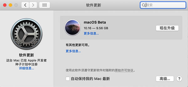 macOS Big Surʽ桿macOS Big Sur v14.2 Beta10ʽ-վ