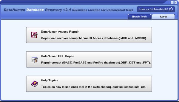 DataNumen Database RecoveryѰءDataNumen Database Recovery(ݿָ) v2.4.0.0 ٷʽ