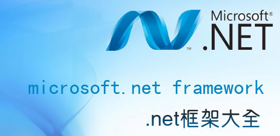 .net framework 4.0.30319