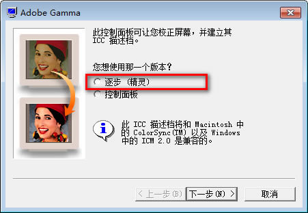 Adobe Gammaر