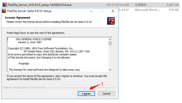 FileZilla ServerİdFileZilla Serverİ(ý̳) h